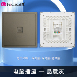 飞雕(FEIDIAO)开关插座 86型家用暗装超大面板PC支架 品意系列家用插座 品意灰电脑插