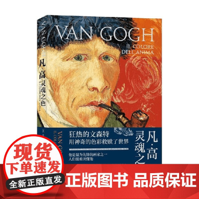 凡高 灵魂之色 恩里卡·克里斯皮诺 著 传记