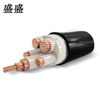 盛盛 铜芯铠装电缆 YJV22 4*25+1*16 米