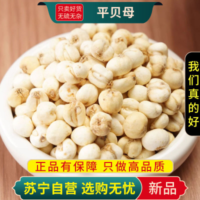 甄选平贝母100克无硫平贝母正品干货新货正品煮水泡茶另售黄芩