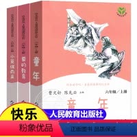 快乐读书吧六年级上册 全套3本 [正版]人教版快乐读书吧小学六年级上册课外书全套人民教育出版社童年小英雄雨来爱的教育小学