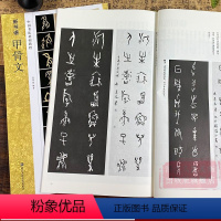 [正版]甲骨文 新书谱中国书法基础教程 高清原碑帖/基本笔画/基本结构/偏旁部首/简体旁注 成人初学者入门临摹鉴赏甲骨