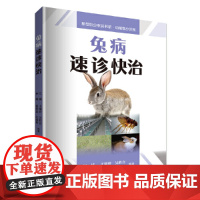 兔病速诊快治