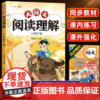 斗半匠二年级阅读理解训练小学语文阅读理解专项训练书看图写话每日一练人教版上下册课外强化训练题阶梯答题解题练习一本真题80