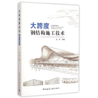 音像大跨度钢结构施工技术王宏