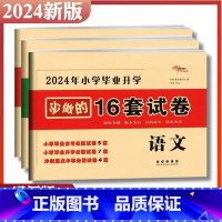 必做16套-语数英3本 小学升初中 [正版]2024版小学毕业升学考前突破语文数学英语小升初系统总复习68所名校小升初复