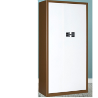 韶优 两门保密财务凭证柜 BMG-2