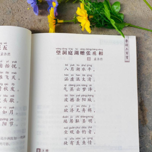 [M]唐诗三百首-9787514828887