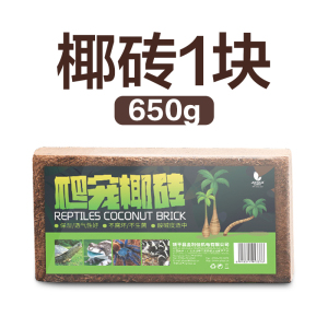 乌龟椰砖爬宠无菌家用营养椰土苔藓乌龟冬眠角蛙蜥蜴守宫爬虫垫材