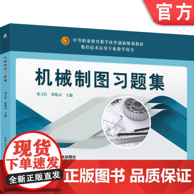 正版 机械制图习题集 桑玉红 张晓灵 毕永良 9787111632306 机械工业出版社 教材