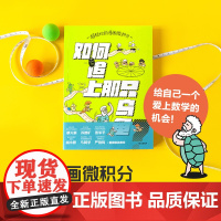 超轻松的漫画微积分 如何追上那只乌龟 李剑龙著 大师数学课 微积分的生产发展和应用 趣味故事课外阅读科普百科