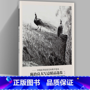 [正版]陈治良大写意精品选集 中国高等院校美术教学范本 陈治良画集 写意画作品集册页8开收录20幅图临摹学习研究范本 四