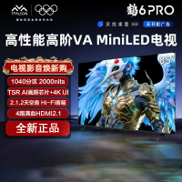 TCL 雷鸟鹤6 PRO 25款 85英寸 MiniLED 一级能效智能平板电视机85S595C Pro
