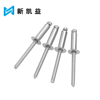 新凯益 不锈钢沉头抽芯铆钉 φ3*12 个