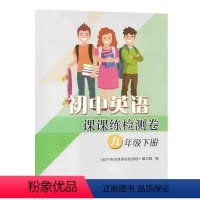 英语初中课课练检测卷9下译林 初中通用 [正版]苏教版初中英语课课练检测卷九年级下册配套试卷译林版初三8年级下册初中生同
