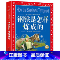 钢铁是怎样炼成的 [正版]海豚童书 小王子书 注音版中文儿童绘本经典世界名着1-3年级小学生读物一年级二年级课外阅读带拼