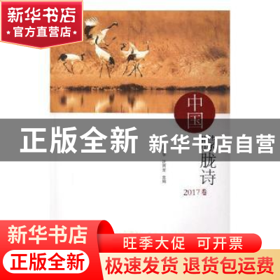 正版 中国朦胧诗:2017卷 倪伟李,沈丙龙主编 海峡文艺出版社 978