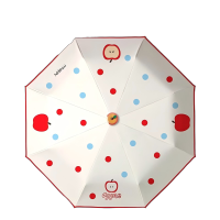 友谊船 全自动雨伞女晴雨伞两用黑胶太阳伞遮阳伞防晒防紫外线 把