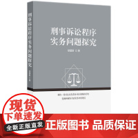 2025新书 刑事诉讼程序实务问题探究 徐建新 著 知识产权出版社 9787513096270
