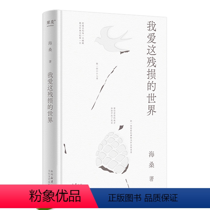 [正版]我爱这残损的世界(海桑全新诗集,描述生活细节里本真的美,多么不堪的生活,你都能在其中找到一点光亮。)