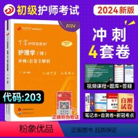 [正版]丁震医学护师2024年新版初级护师考试考前冲刺4套卷及全解析全套护理学初级师历年真题模拟试卷同步练习题库预测卷