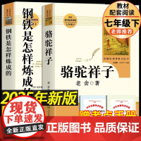 2025人教版骆驼祥子和钢铁是怎样炼成的正版书原著海底两万里人民教育出版社老舍七年级下册必读名著课外书籍初中生语文配套完