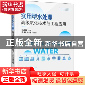 正版 实用型水处理高级氧化技术与工程应用 孙承林 化学工业出版
