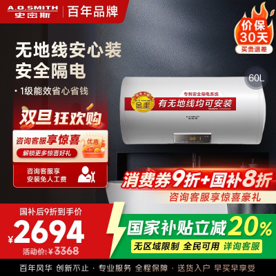 AO史密斯60升电热水器 无地线可安装 专利安全隔电 金圭内胆 速热节能 一键中温保温E60VDS 预约洗浴
