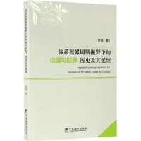 音像体系积累周期视野下的中国与世界李博 著