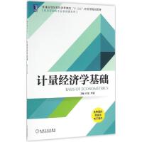 计量经济学基础