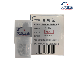 大汉正通 高速钢直柄整体麻花钻头 9.9*25mm 支