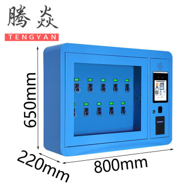 腾焱智能钥匙柜BG-10个