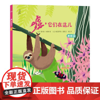 嘘,它们在这儿:雨林篇