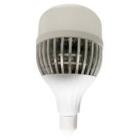 为佳天 LED球泡灯 节能灯 XH18A 台 30W