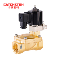 卡西斯顿 消防电磁阀 YCXF41-50 个