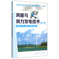 音像风能与风力发电技术(第3版)王建录