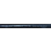 华科中缆 铠装电缆 YJV22-2*2.5 米