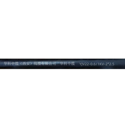 华科中缆 铠装电缆 YJV22-2*2.5 米