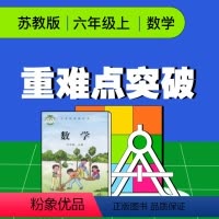 [正版]视频课程 苏教版六年级数学上册重难点突破