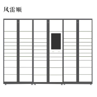 风雷顺智能快递柜小区快递自提柜派件柜室外寄存柜信报箱储物柜一主两幅61格