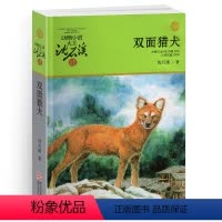 双面猎犬 [正版]双面猎犬沈石溪小学四年级五年级全集全套书浙江少年儿童出版社非注音版完整版动物小说大王品藏书系小学生课外