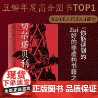 切尔诺贝利的午夜 纽约时报 时代周刊 年度图书 人类文明史上的永恒噩梦 权威记者十数年深度调查 景式展现了这整个过程