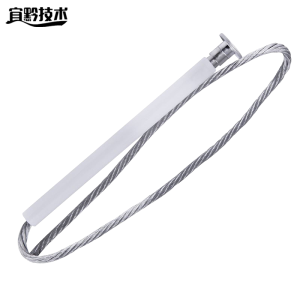宜黔技术 镀银带护管保险丝 RW10/3A 根