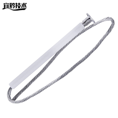 宜黔技术 镀银带护管保险丝 RW10/3A 根