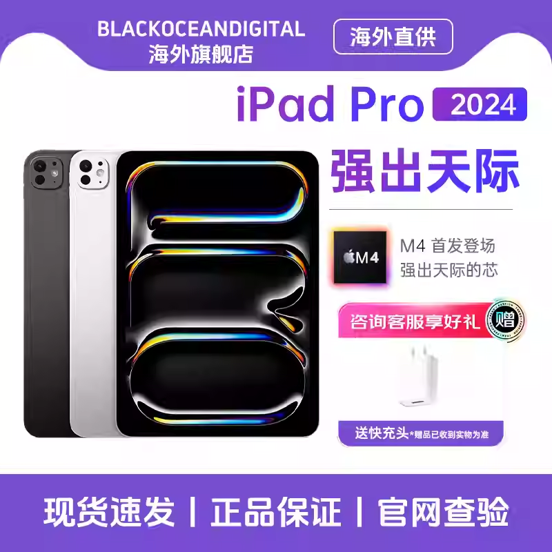 苹果 Apple 2024款 iPad Pro 11英寸 1TB WIFI版 苹果平板电脑 深空黑色 资源机国际版