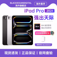 苹果 Apple 2024款 iPad Pro 11英寸 1TB WIFI版 苹果平板电脑 深空黑色 资源机国际版