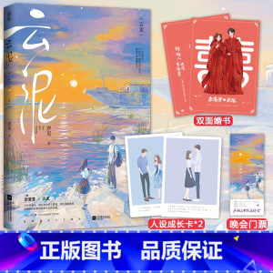 [正版]赠人设成长卡+婚书+晚会门票云泥 岁见 新增全新万字番外 青春文学言情双向救赎暗恋文