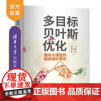 [正版新书]多目标贝叶斯优化 面向大模型的超参调优理论 徐华 王洪燕 袁源 清华大学出版社 多目标 贝叶斯 优化
