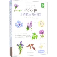 [N]300种芳香植物识别图鉴(彩图典藏版)-9787109274372