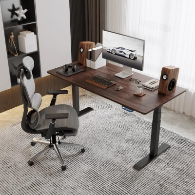 乐歌E6/E5-N智能电动升降桌居家办公电脑桌双电机升降学习桌书桌